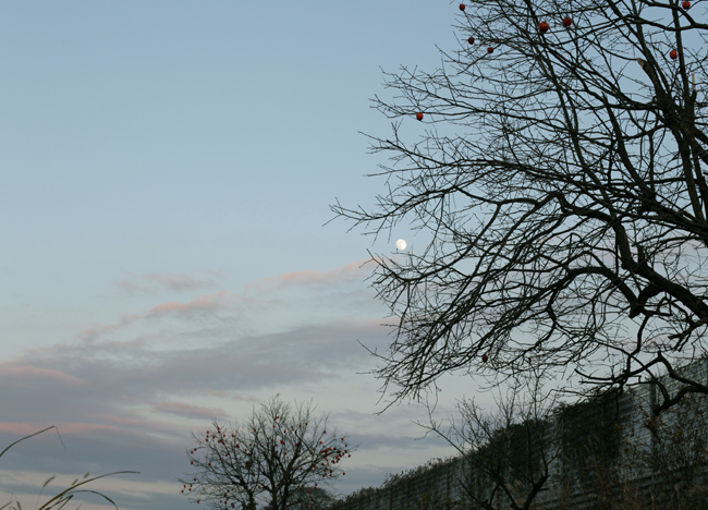 SIMG_1844ps